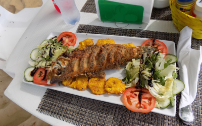Top 5 Dominican Dishes You Must Try During Your Stay